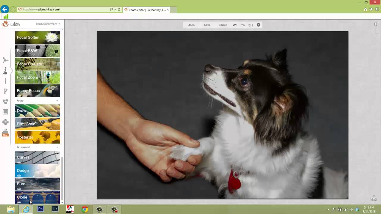 How To Use the Clone Tool in PicMonkey