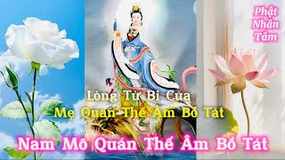 LÒNG TỪ BI CỦA QUAN THẾ ÂM BỒ TÁT - MẸ QUÁN THẾ ÂM #phatnhantam #quantheambotat