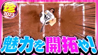 【今年も魅力を】甲斐拓也『珍』まとめ【開拓や！】