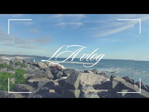 LA vlog