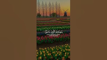 ||تلاوة رائعة تريح القلب🖤القاري#عبدالرحمن_مسعد#تلاوات_خاشعة  #حالات_واتساب💘#قران_كريم