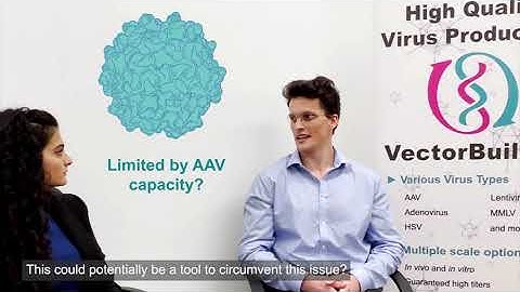 How to increase Adenovirus packaging capacity using our Gutless Adenovirus (GLAd) technology