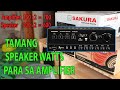 Tamang Watts na Speaker para sa Amplifier | Amplifier/Speaker Matching