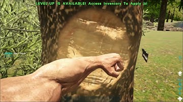 ARK Valguero episode 1: getting started