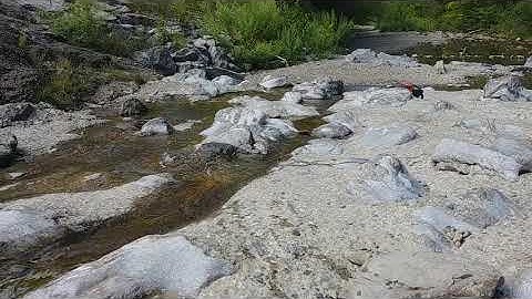 MST Cfx-w. rc rock crawling. Toyota