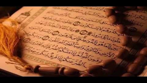 تلاوة  مباركة من سورة النمل للقارئ طلحة الدريوش  (مقطع من تراويح ليلة 23 رمضان )