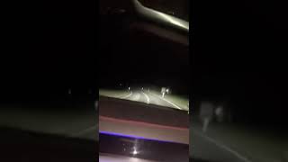 Araba Snapleri - Lamborghini Urus Yan Koltuk