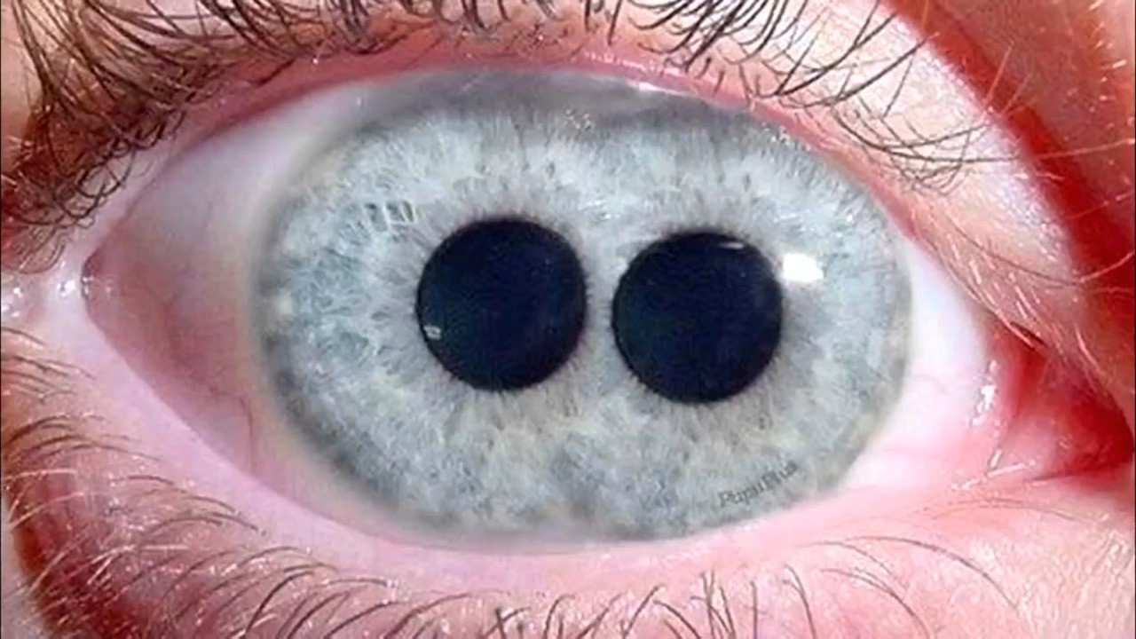 Ciclopia! - YouTube