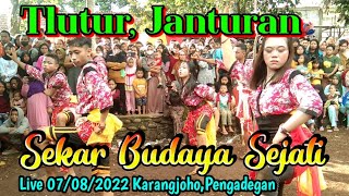 Download Lagu JANTURAN, SEKAR BUDAYA SEJATI||EBEG PURBALINGGA||LIVE 07/08/2022 Karangjoho,Pengadegan MP3