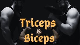 triceps biceps full training ??