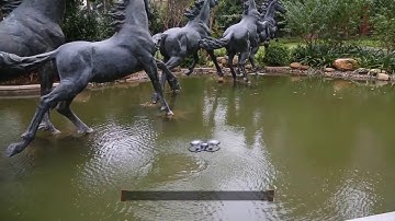 db DBPOWER U818A WIFI DRONE Introduction Video