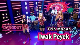 Lagu Legend Banget, Jadi Flashback ! Trio Macan 'Iwak Peyek' | STUDIO DANGDUT