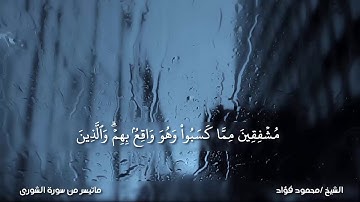 استمع بقلبك ( ما تيسر من سورة الشورى )