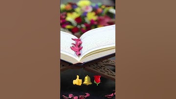 سورة يونس (صلاة العشاء)