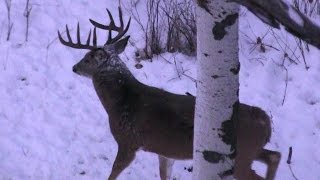 The most AMAZING Deer Hunting Video EVER!!! HD