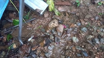 Video from My Phone (20230715_194035.mp4)