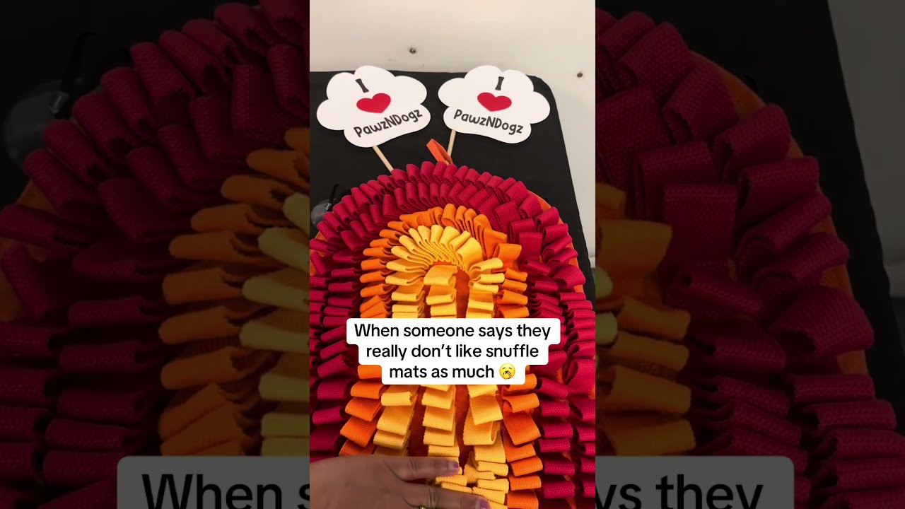 Snuffle Mats Provide The Type Of Enrichment For Your Pets That Most Toys Won T Be Able To Achieve 