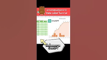 เอาเลขศูนย์ออกจาก Data Label ใน Excel กราฟ #excel #exceltips