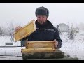 Подкормка пчёл мёдом. Зимние работы на пасеке.