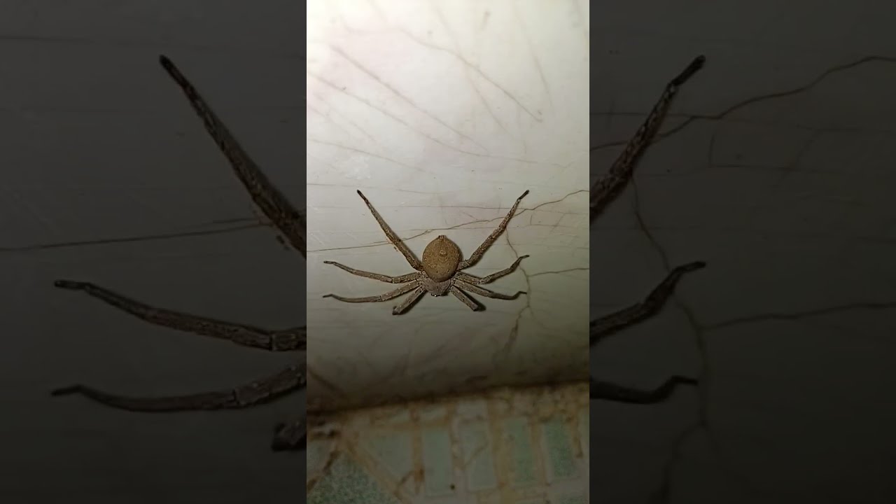 He Is So Friendly