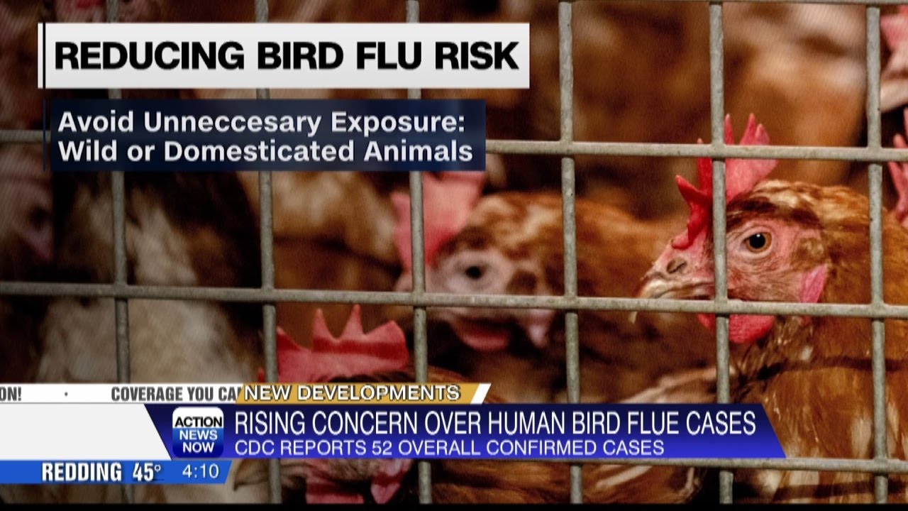 California reports 27 confirmed human cases of Bird Flu, risk remains ...