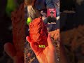 快别挖了 抓紧去洗手 快别挖了 抓紧去洗手