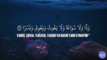 OMAR HİSHAM AL ARABİ - SURAH NUH | عمرهوشام العربي سورة نوح