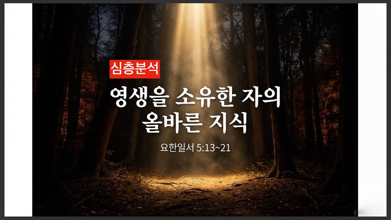 [심층분석] 영생을 소유한 자의 올바른 지식 (요일 