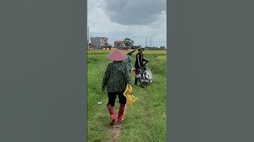 Gặp gỡ những người nông dân già trẻ gái trai lớn bé đi ra ruộng lúa trờ máy gặt lúa(🌾🌾🌾)13/5/2025