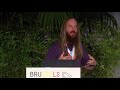 useR! International R User 2017 Conference *jamovi*  a spreadsheet for R