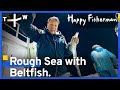 A daunting experience: catching beltfish on the rough sea- "Happy Fisherman" Ep.2 | TaiwanPlus