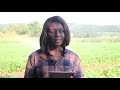 RETURNING FROM DIASPORA TO UNDERTAKE FARMING AS A FULLTIME PROFFESSION IN ZIMBABWE
