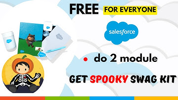 Get Spooky Salesforce Swags Kit || Free Salesforce Swags in 2025