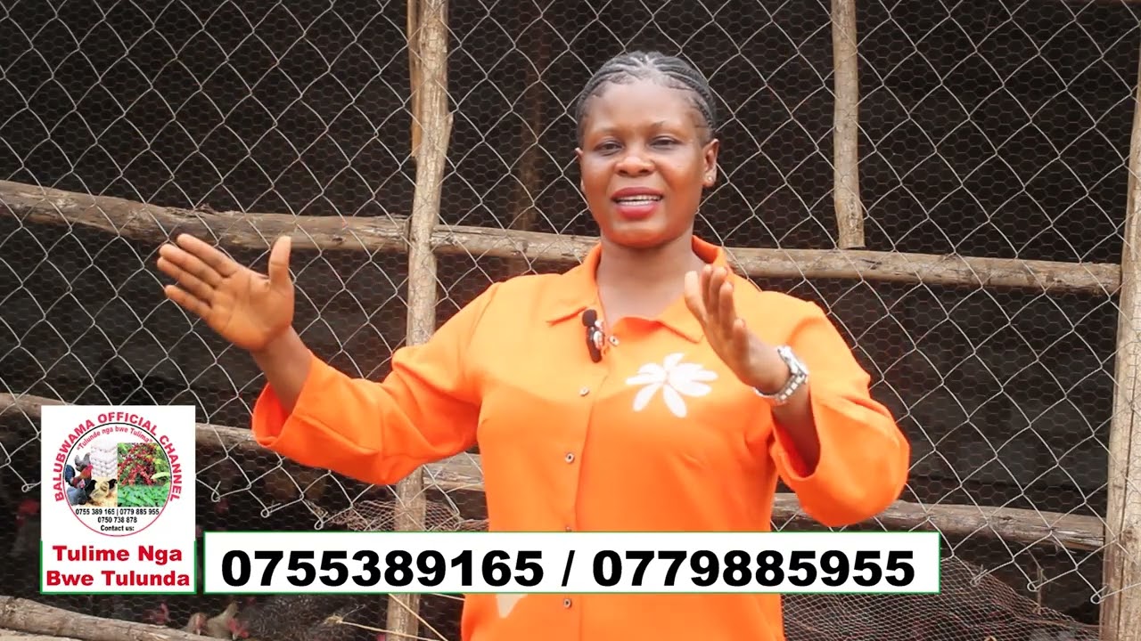 Obusobozi Bwo bw'enkana Butya