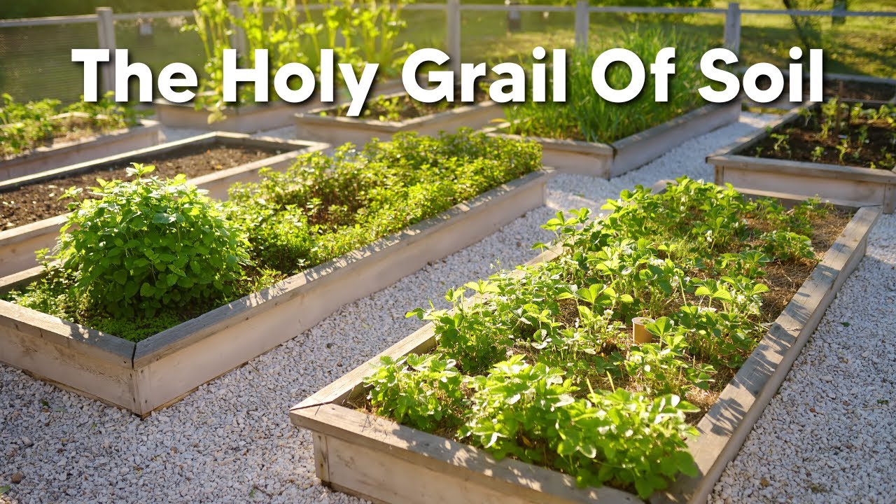 The Best Soil For Raised Bed Vegetables Garden Plants! YouTube