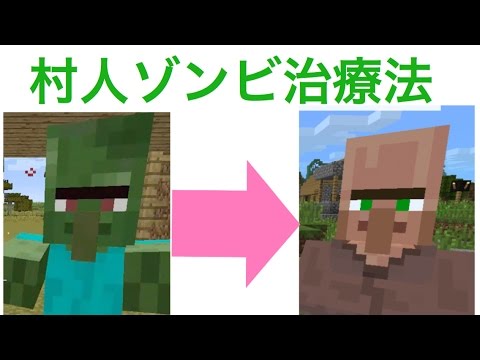 ゾンビ治療 Pe Ps3対応 やり方 マインクラフト マイクラpe Minecraft Youtube