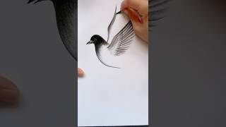 how to draw a realistic bird step by step for beginners.. #bird #drawing