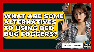 What Are Some Alternatives To Using Bed Bug Foggers? - Insects and Invaders