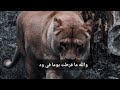 والله ما فرطت يوما في ود    