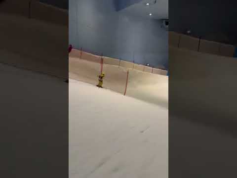 Ski Dubai