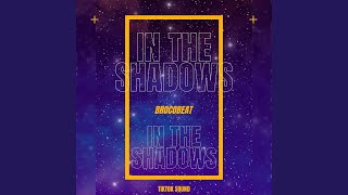 In The Shadows (TikTok)