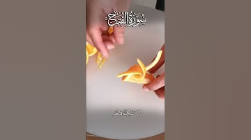 سورة الفتح ❤️🎧  #القرآن_الكريم  #ارح_قلبك quran for relaxation