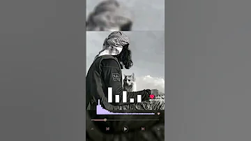 مقاطع دوله إسلاميه 