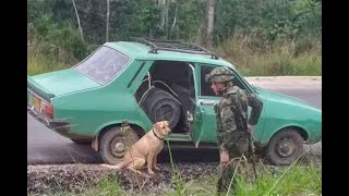 Ejército frustra atentado con explosivos en zona rural de Tibú, Norte de Santander