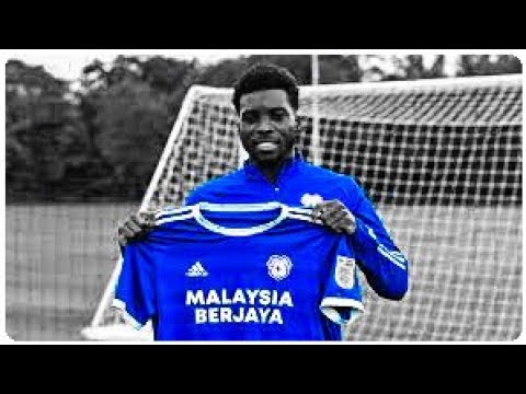 Sheyi Ojo - Cardiff City's New Startlet - All Goals and Assists 2020-21