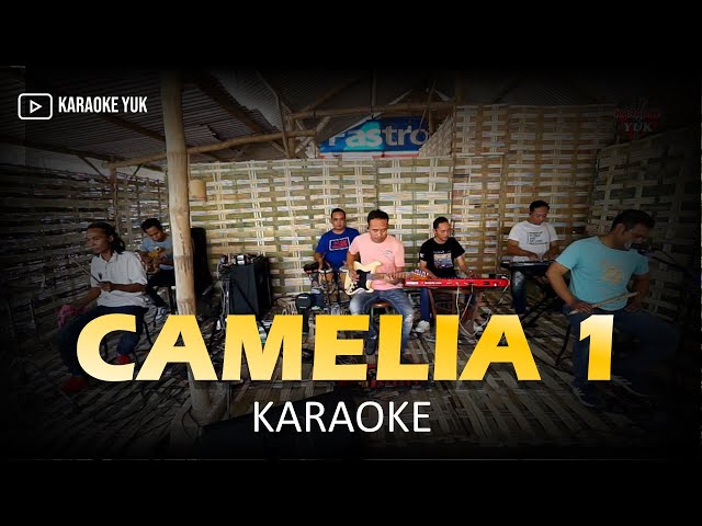 CAMELIA 1 KARAOKE NADA COWOK PRIA class=