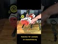 3d printed robo dog