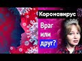 Тайна коронавируса / Пандемия? / ТРАНСГРЕССИВНЫЙ ГИПНОЗ