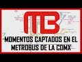 Top: Momentos Captados en el Metrobus de la CDMX