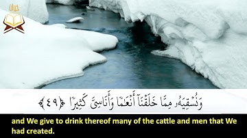 025: Surah Al-Furqan | Sheikh: Saud Al Shuraim | سورة الفرقان | القارئ الشيخ: سعود الشريم